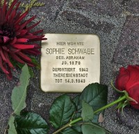 Sophie Schwabe