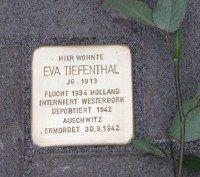 Eva Tiefenthal