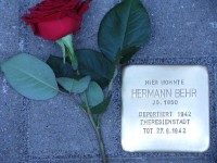 Hermann Behr